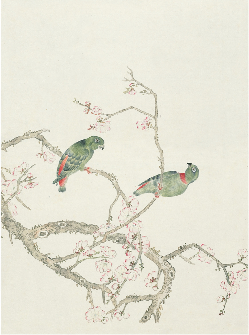 JAPANESE BIRDS