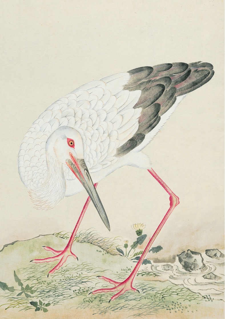 JAPANESE BIRDS
