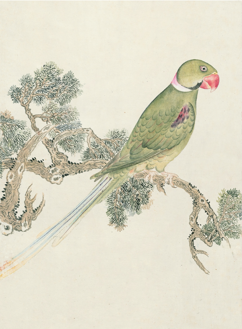 JAPANESE BIRDS