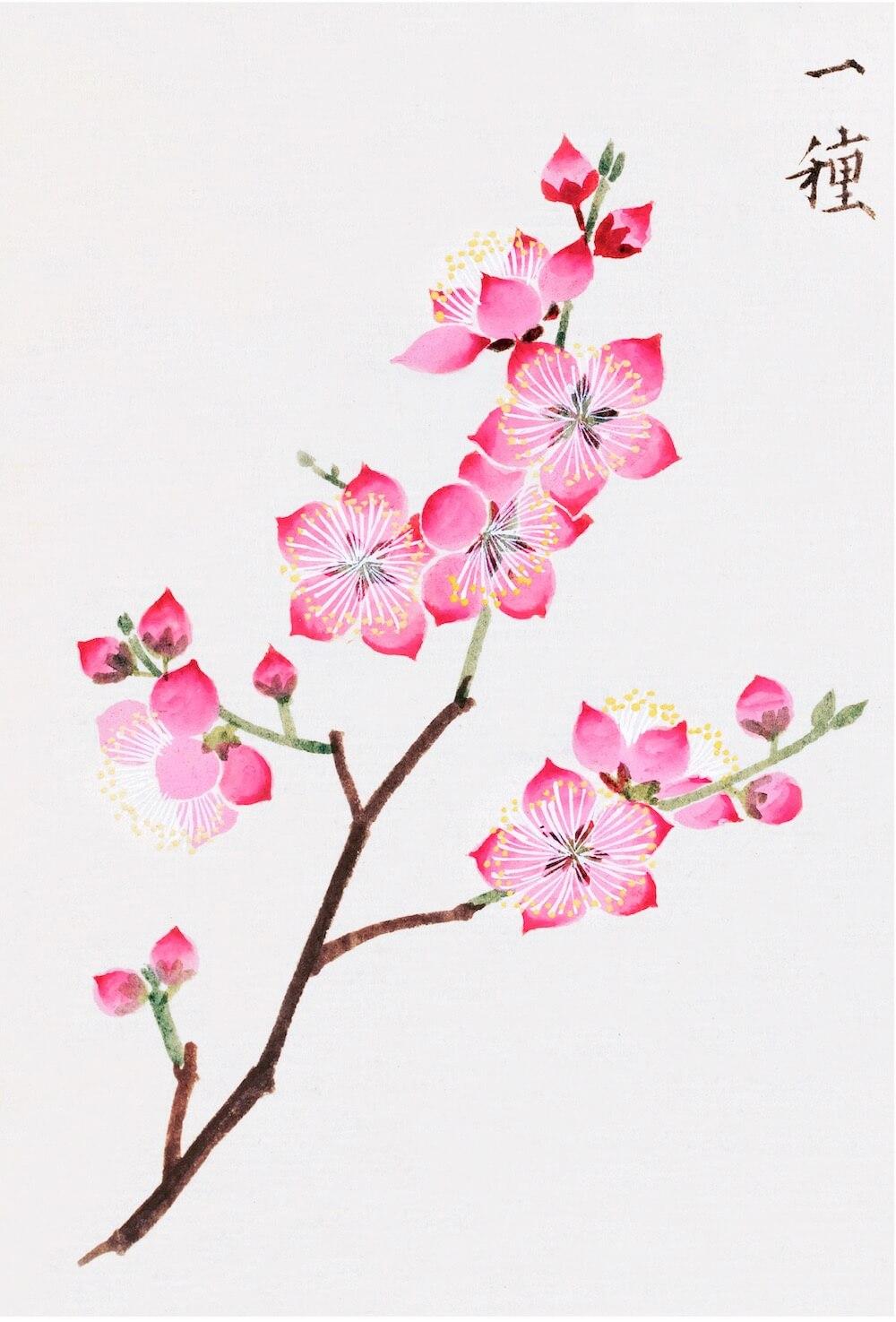 JAPANESE WOODBLOCKS