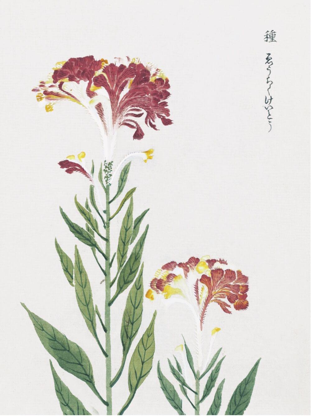 JAPANESE WOODBLOCKS