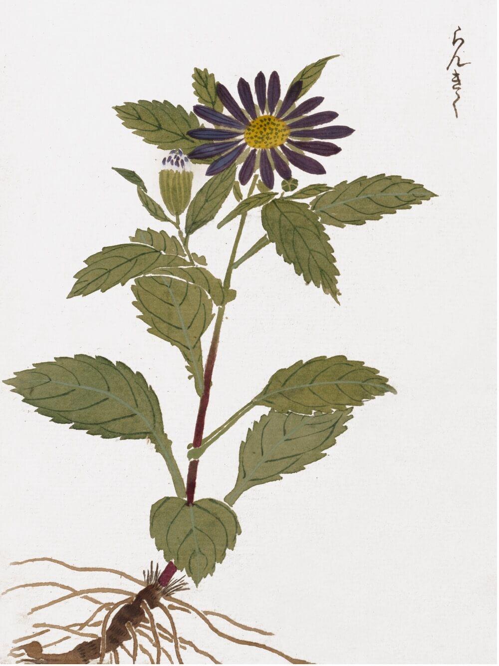 JAPANESE WOODBLOCKS