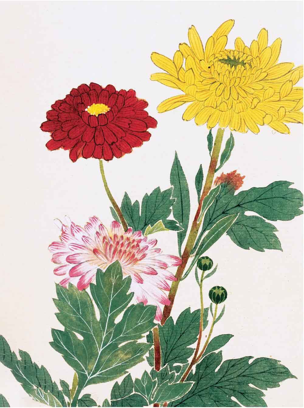 JAPANESE WOODBLOCKS