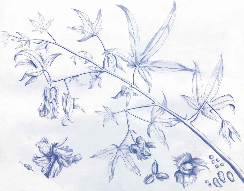 Malabar Garden Blue