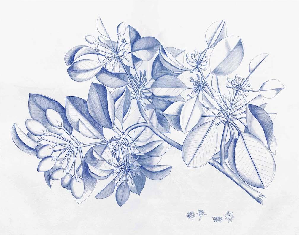Malabar Garden Blue