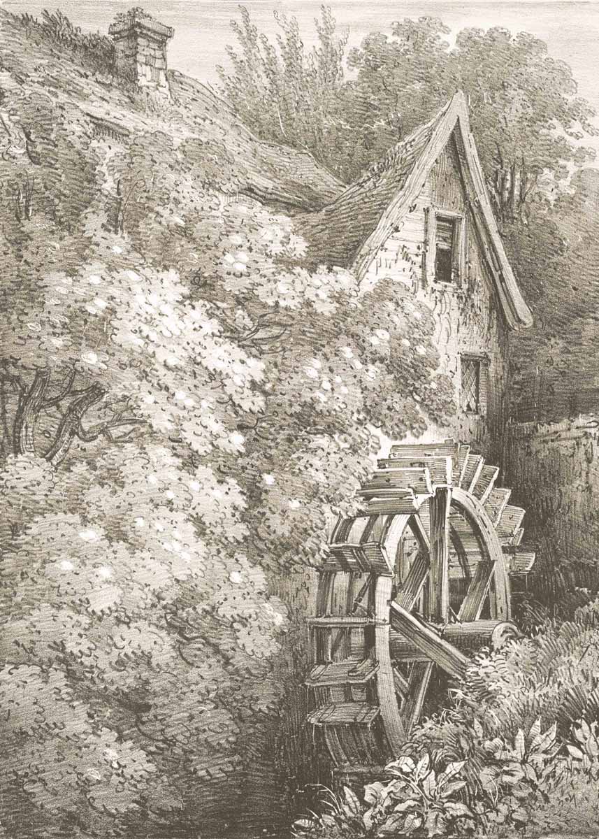 British Tree Sepia